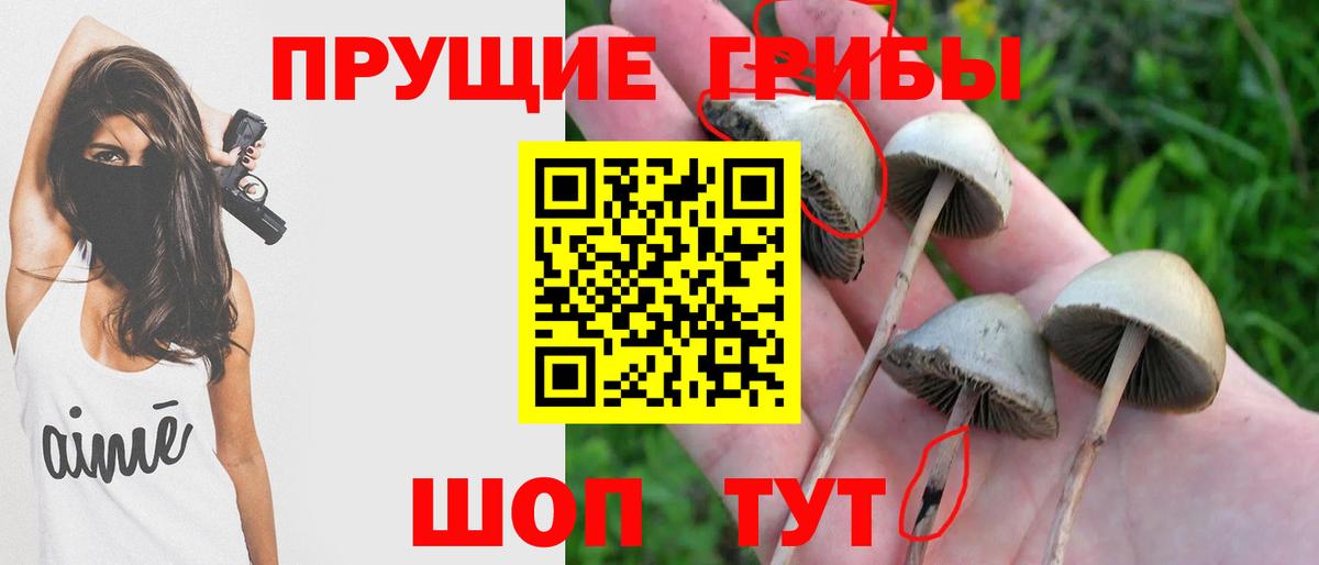 продажа наркотиков  Галлюциногенные грибы мухоморы  Вход с VPN  Нефтекамск 